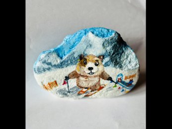 Creator 5692 Marmotte en skis