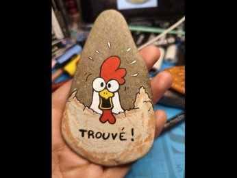 Lepetitsallelois sur insta Coq trouv�e!