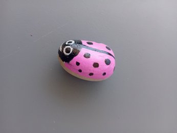 Creator 4671 Coccinelle