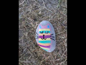 FamilyM Chat multicolore