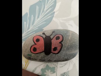 Lechris51 Papillon