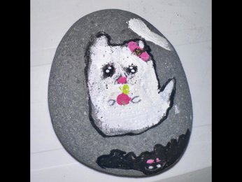 Equipe paquerette Le chat fant�me