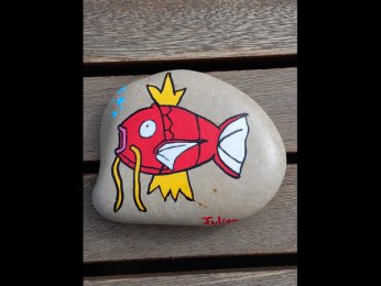 Julien Un Magicarpe sauvage appara�t !