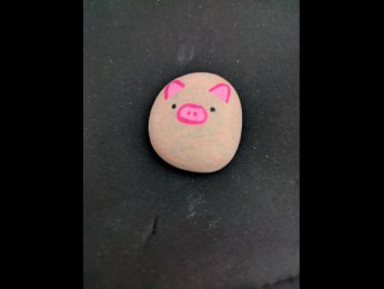 Mercredi38 Petit cochon mignon