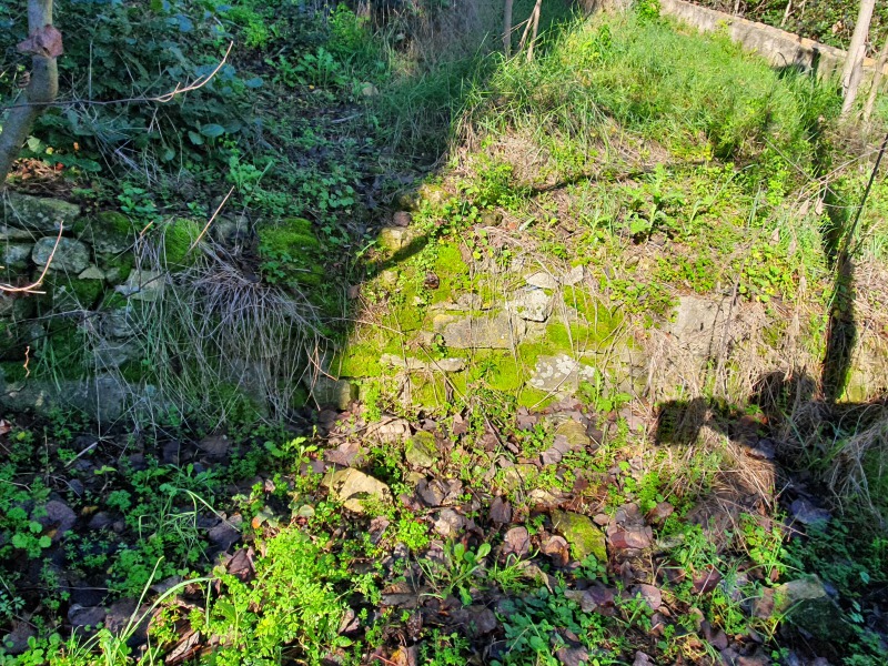 Discover<br/>the second clue picure