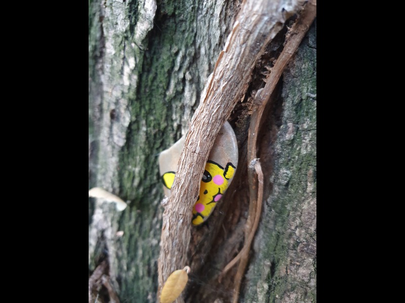Discover<br/>the second clue picure