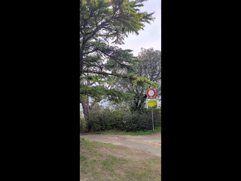 Discover<br/>the second clue picure