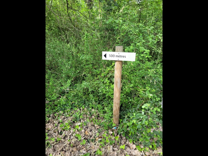 Discover<br/>the second clue picure