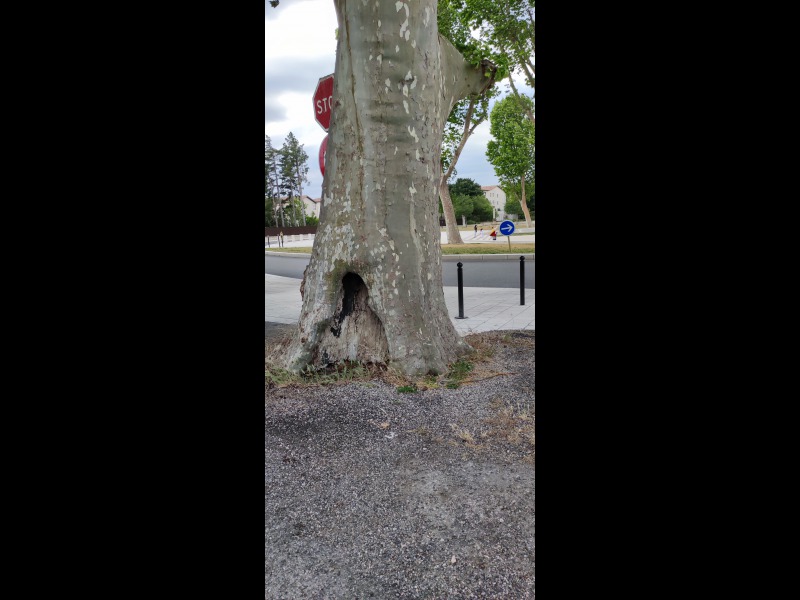 Dcouvrir<br/>le second indice photo