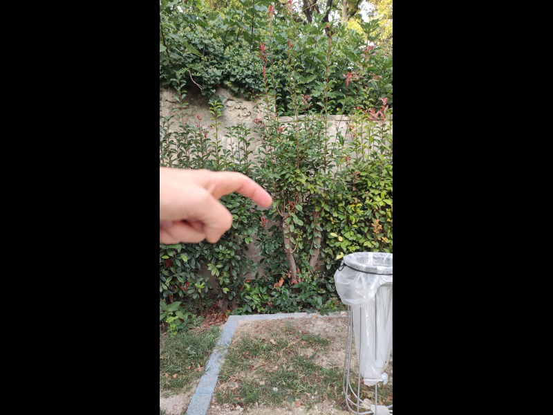 Découvrir<br/>le second indice photo