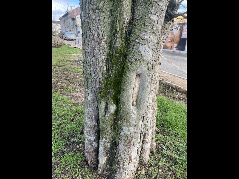 Discover<br/>the second clue picure
