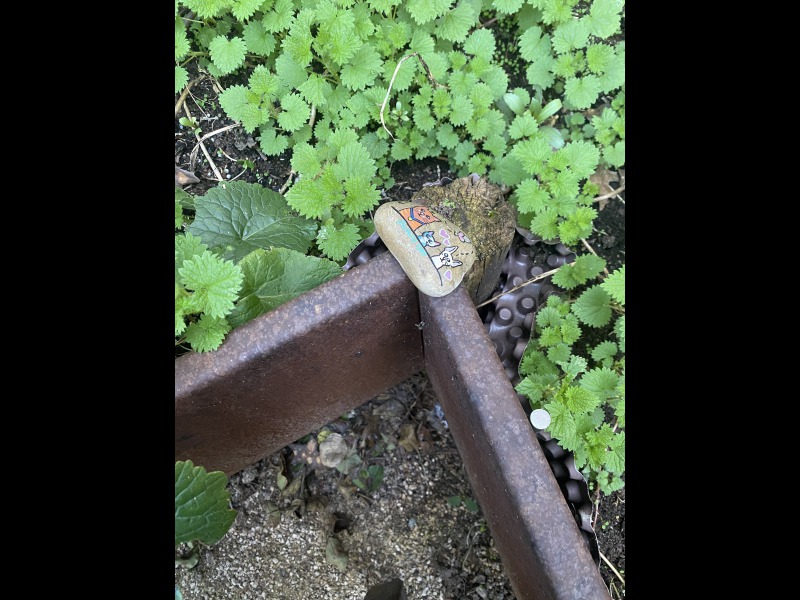 Discover<br/>the second clue picure