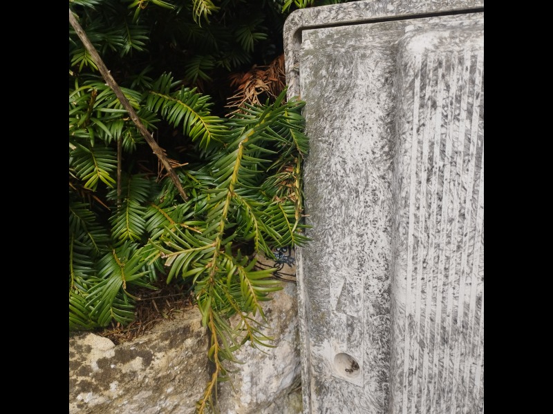 Discover<br/>the second clue picure