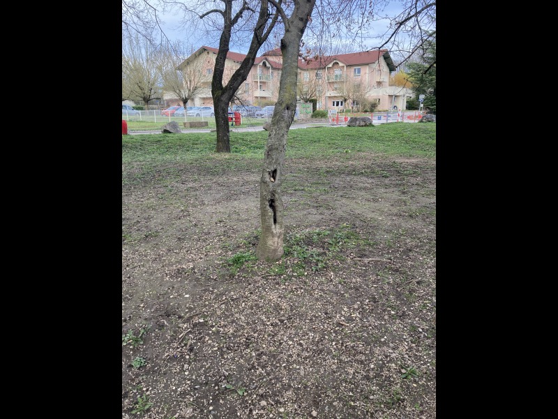 Discover<br/>the second clue picure