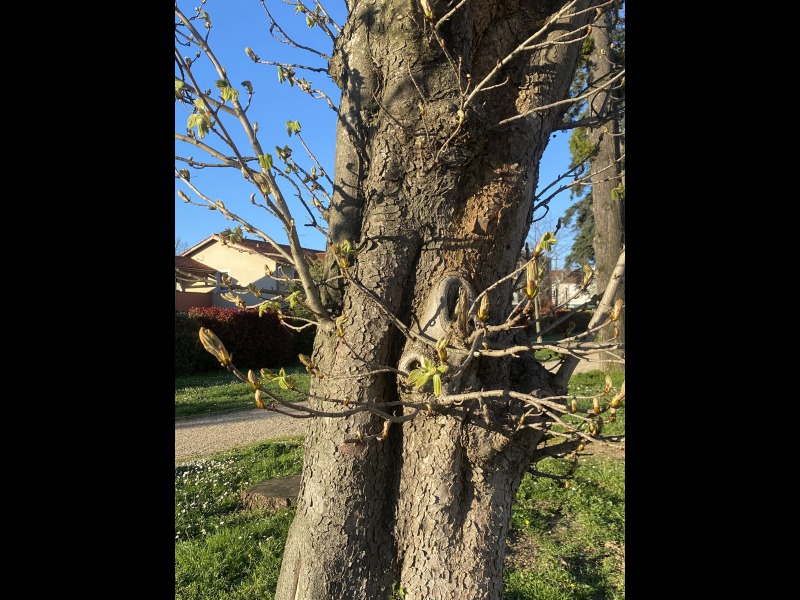 Discover<br/>the second clue picure