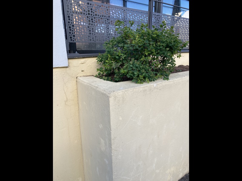 Discover<br/>the second clue picure