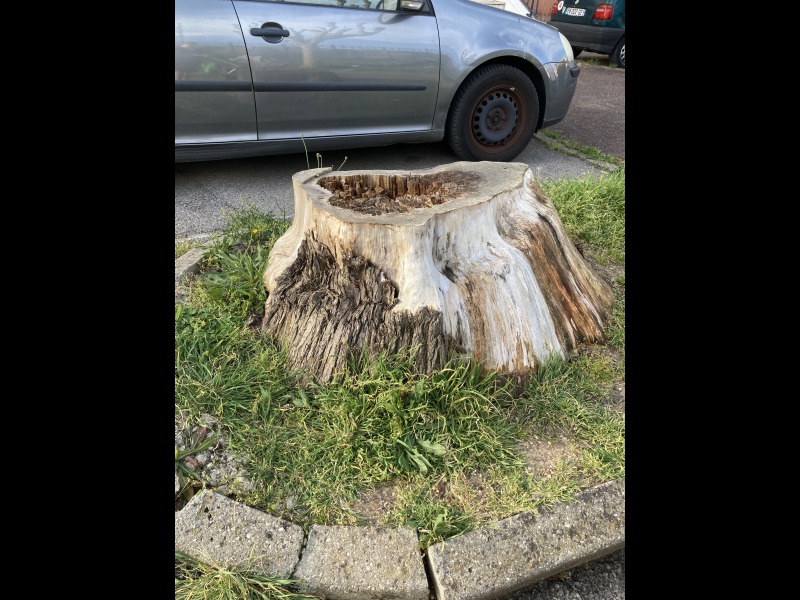 Discover<br/>the second clue picure