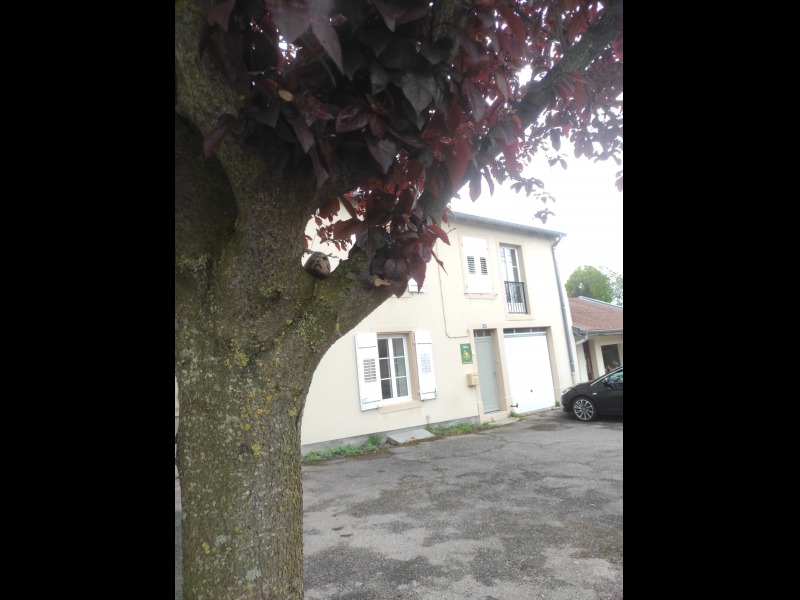 Discover<br/>the second clue picure