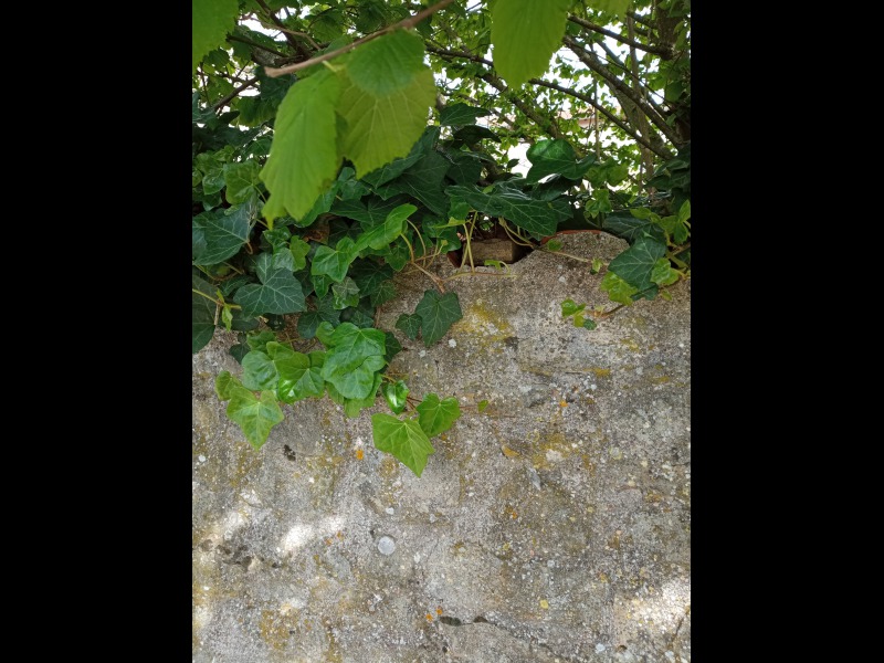 Discover<br/>the second clue picure