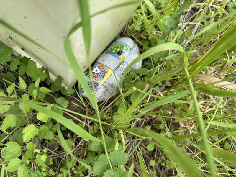 Discover<br/>the second clue picure