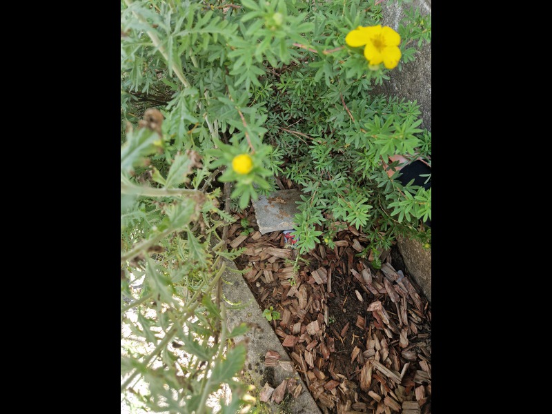 Discover<br/>the second clue picure