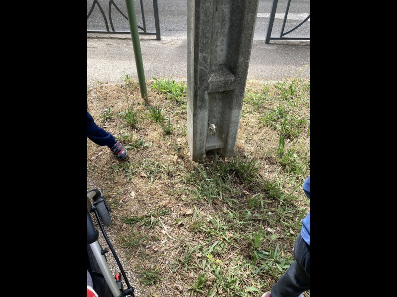 Discover<br/>the second clue picure