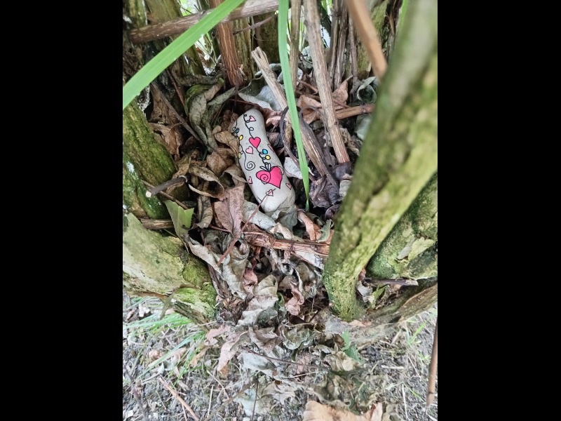 Discover<br/>the second clue picure