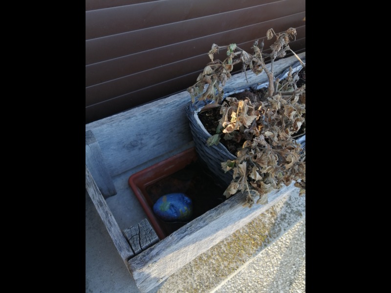 Discover<br/>the second clue picure