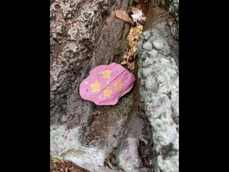 Discover<br/>the second clue picure