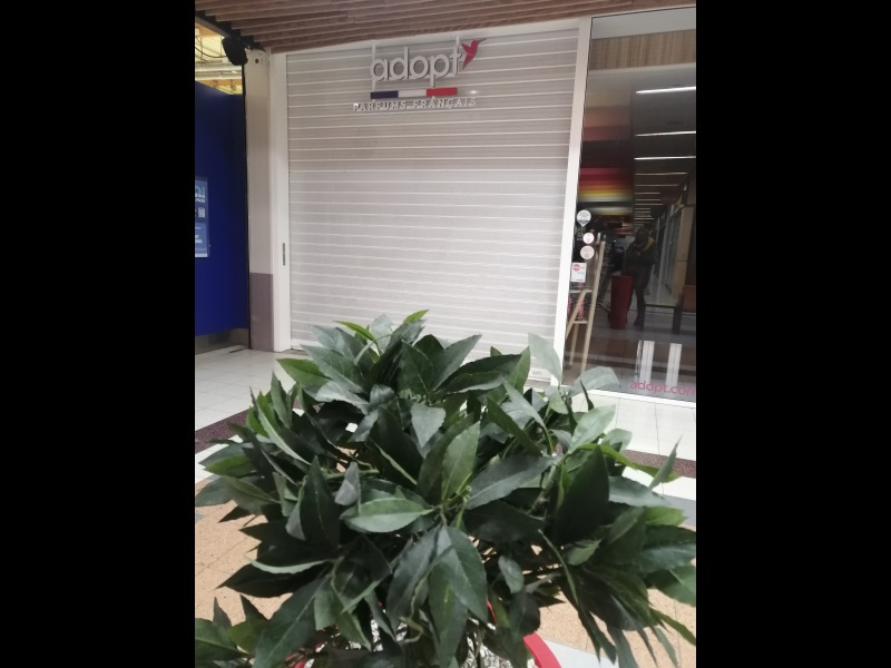 Discover<br/>the second clue picure