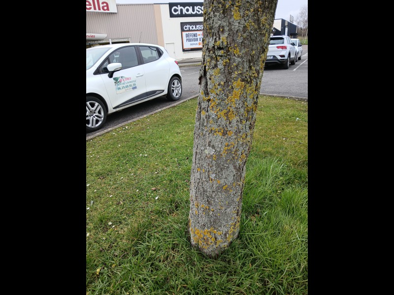 Découvrir<br/>le second indice photo