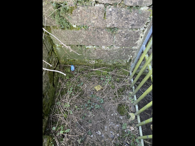 Discover<br/>the second clue picure