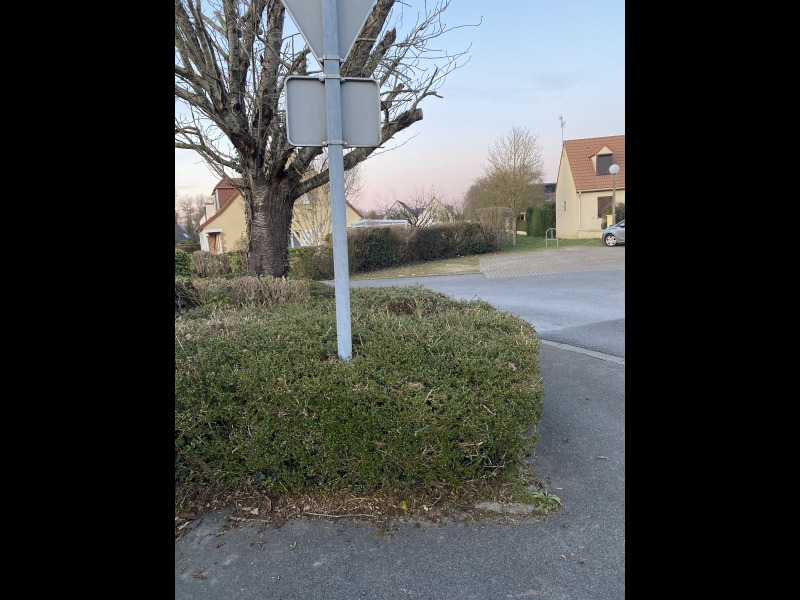 Discover<br/>the second clue picure