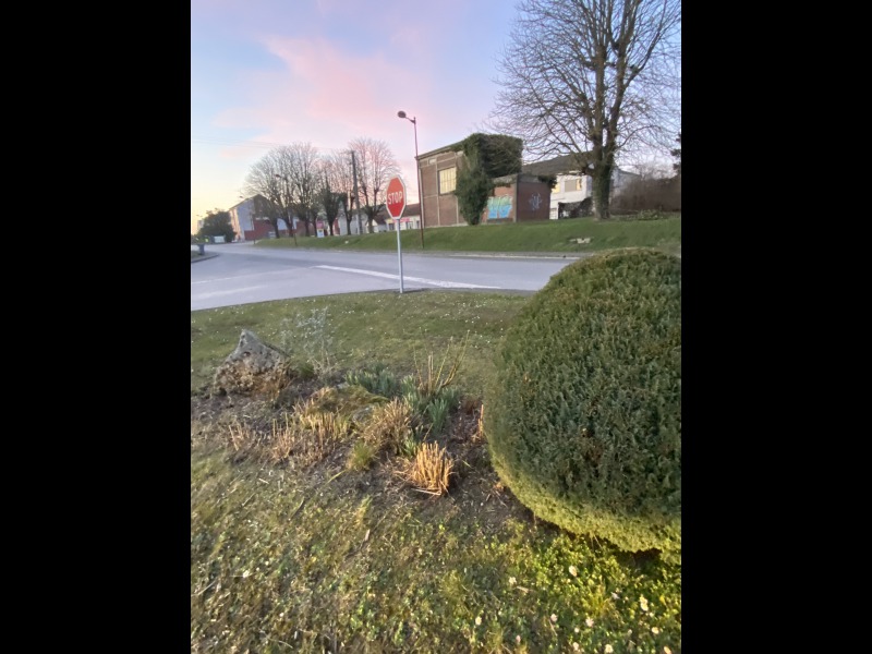 Discover<br/>the second clue picure