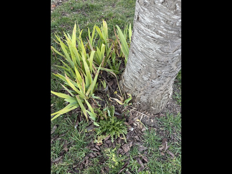 Discover<br/>the second clue picure