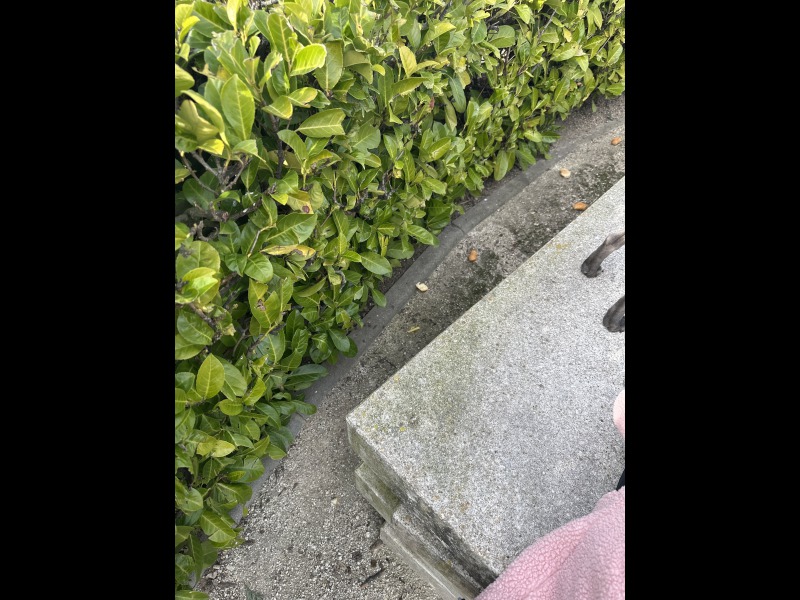 Dcouvrir<br/>le second indice photo