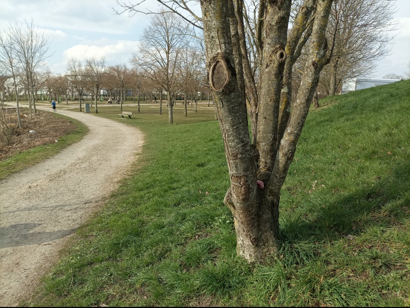 Discover<br/>the second clue picure