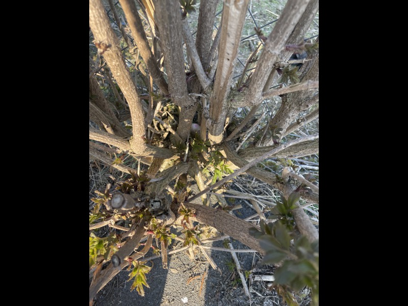 Discover<br/>the second clue picure