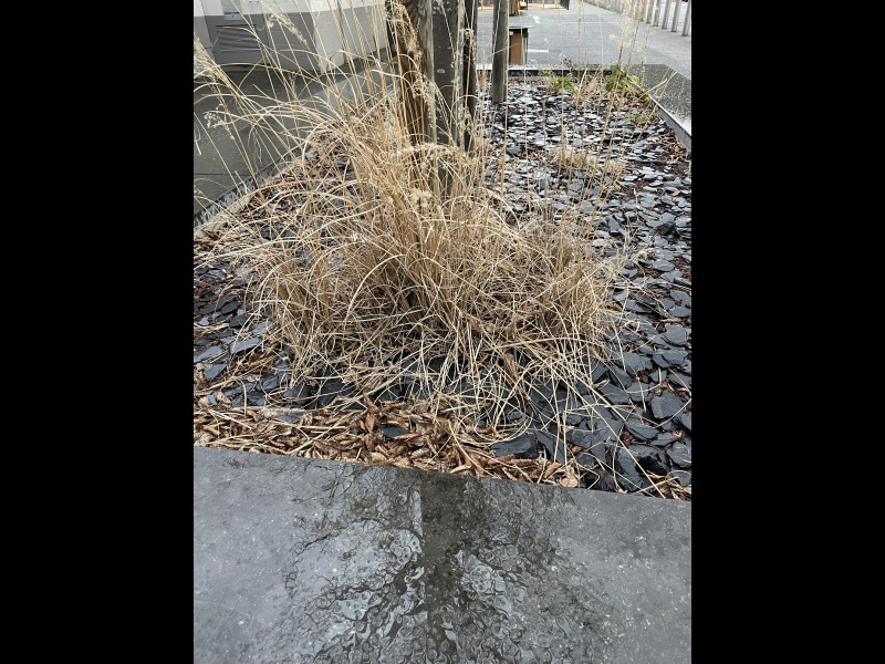 Discover<br/>the second clue picure