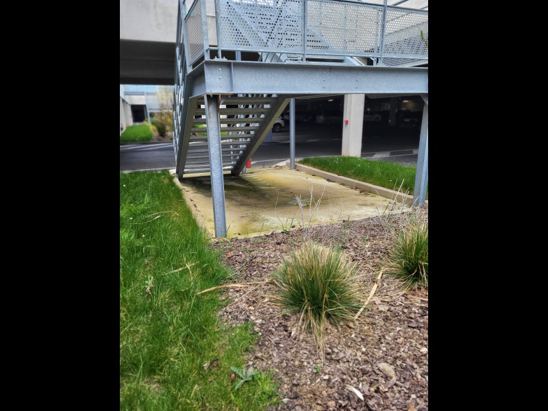Discover<br/>the second clue picure