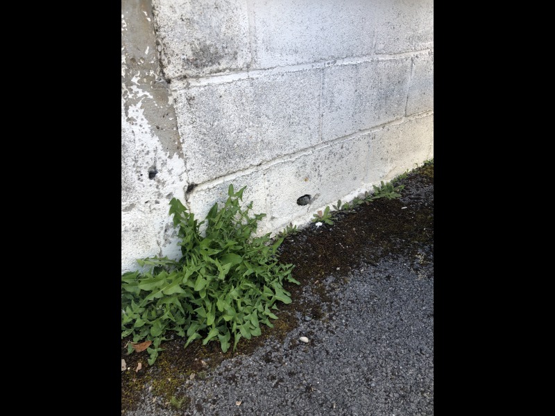Discover<br/>the second clue picure