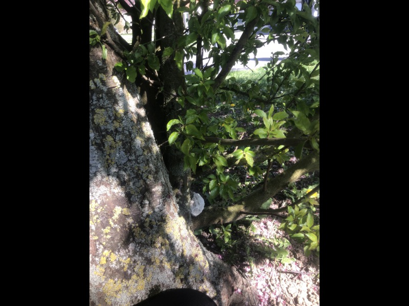 Discover<br/>the second clue picure
