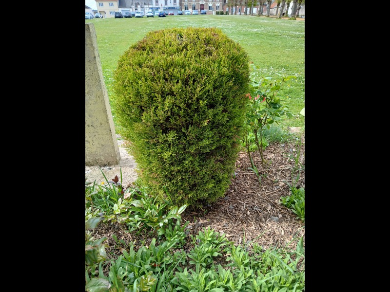 Dcouvrir<br/>le second indice photo