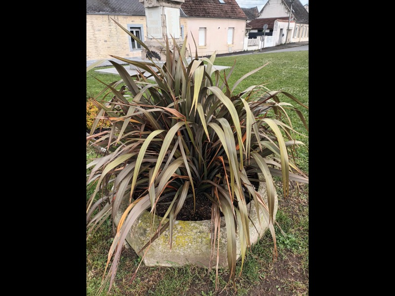 Discover<br/>the second clue picure
