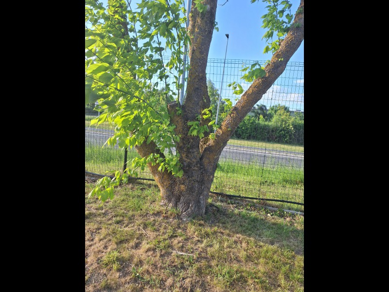 Discover<br/>the second clue picure