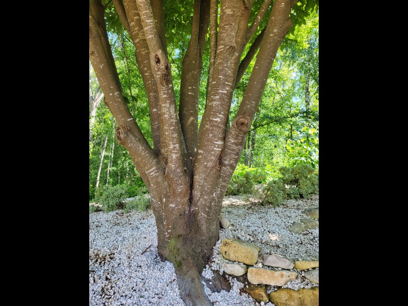 Discover<br/>the second clue picure
