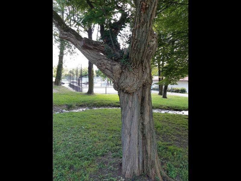 Discover<br/>the second clue picure