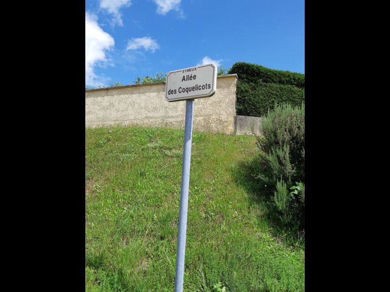 Discover<br/>the second clue picure