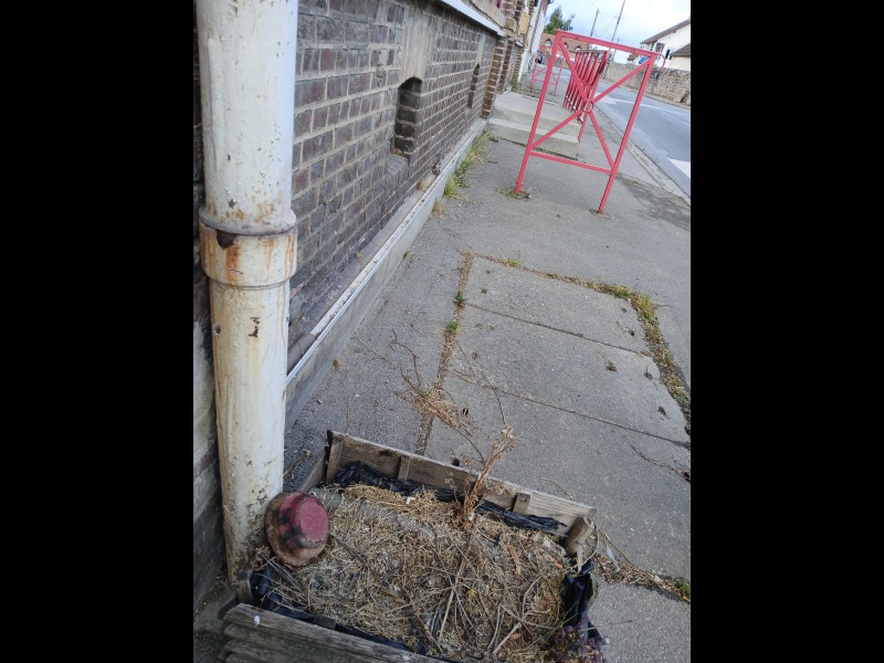 Discover<br/>the second clue picure
