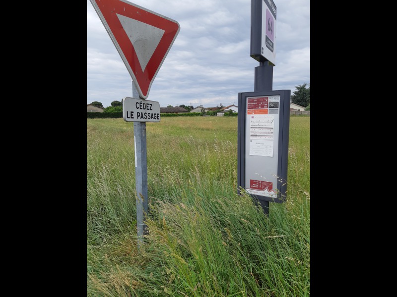 Discover<br/>the second clue picure